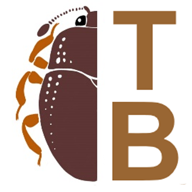 taiwanbeetles logo